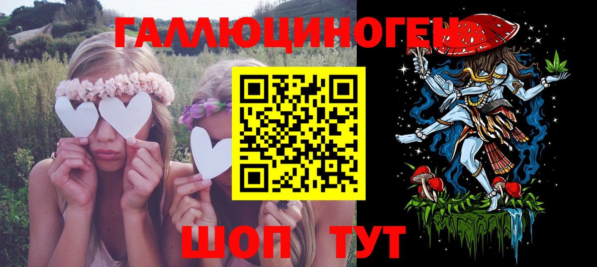Галлюциногенные грибы Cubensis  Вход с VPN  Нерюнгри 