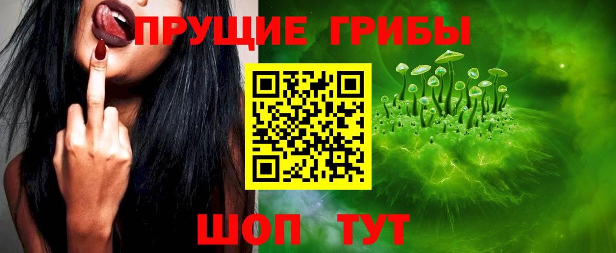 Псилоцибиновые грибы прущие грибы Нерюнгри